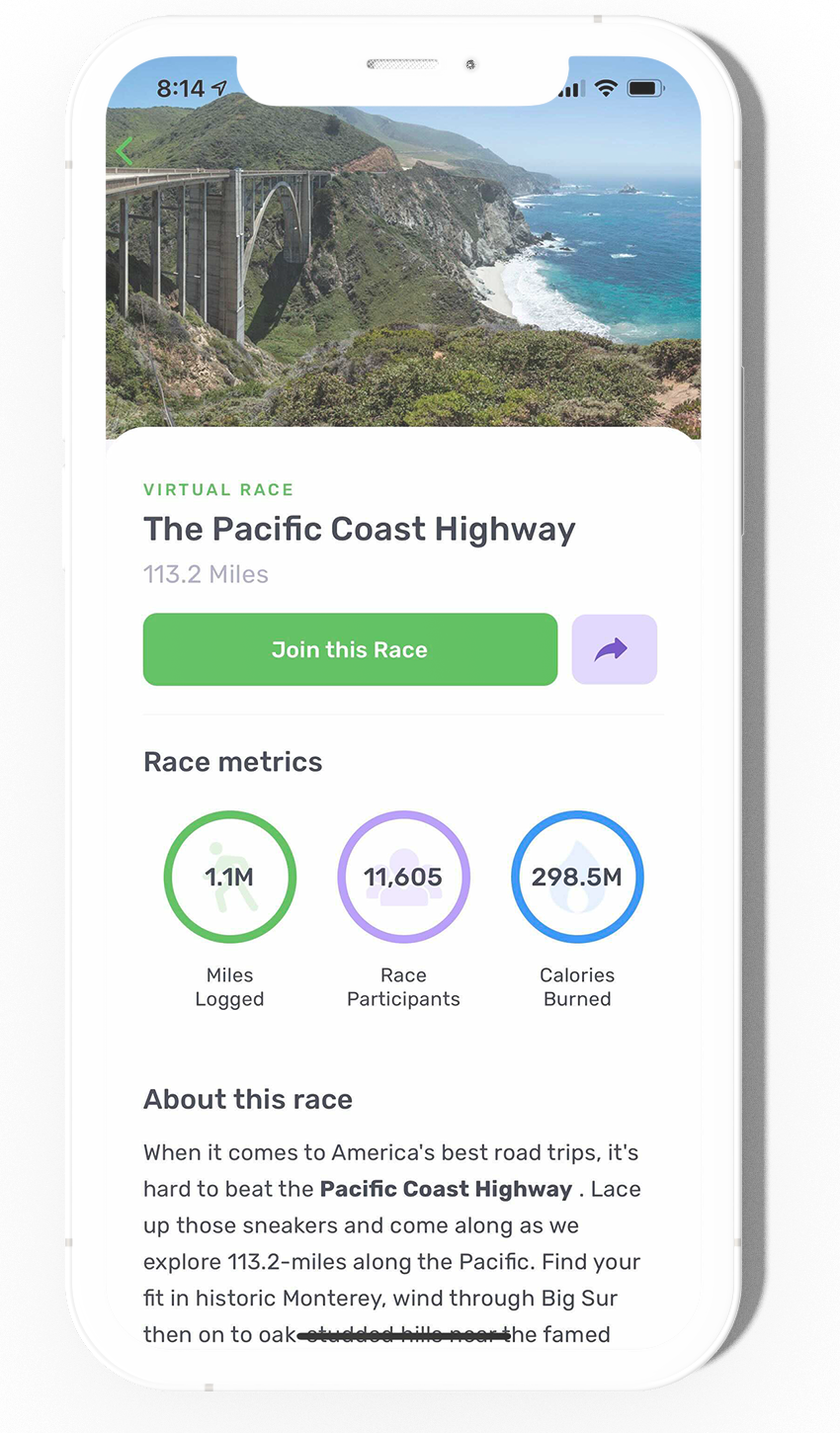 Learn More Virtual Races
