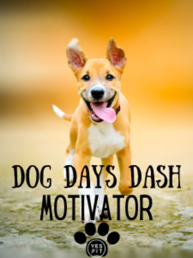 Dog Days Dash Motivator card image