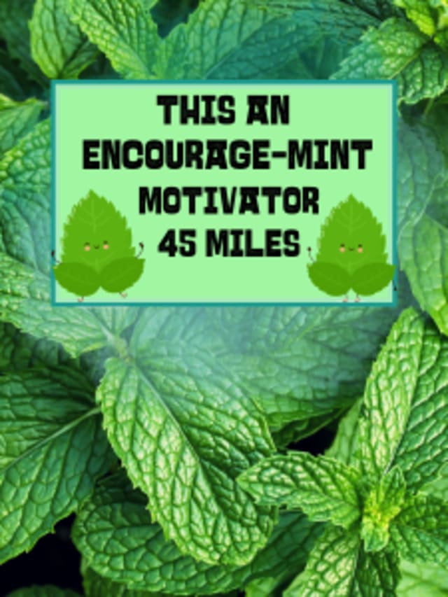 Encourage-Mint Motivator card image