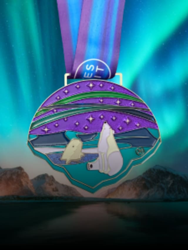 Belugas, Lights and Bears! Oh My! card image