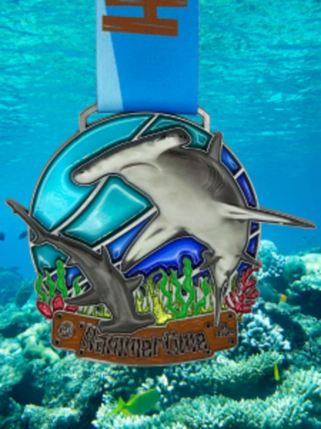 Hammertime: Ocean Adventures card image