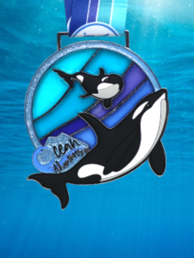 Orcas: Ocean Adventures card image