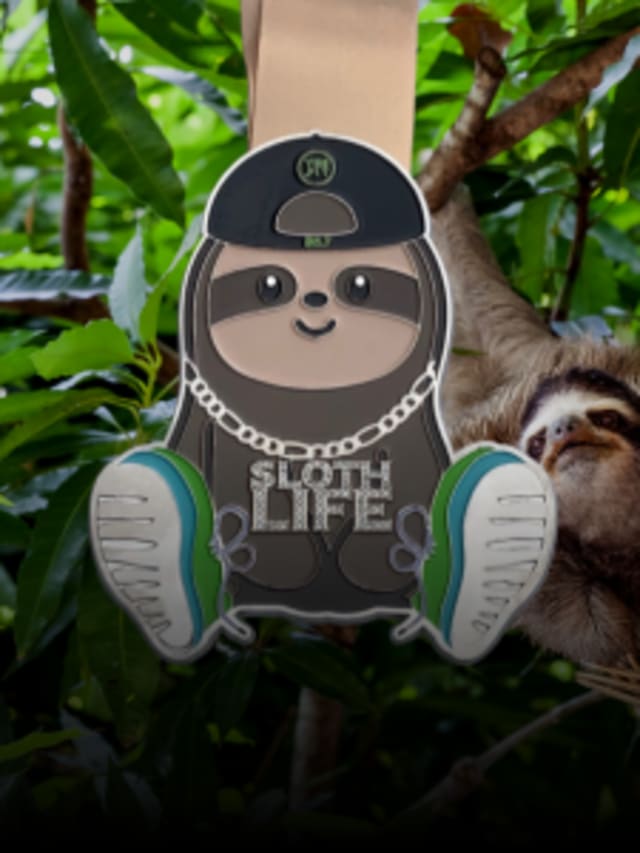 Sloth Life  card image