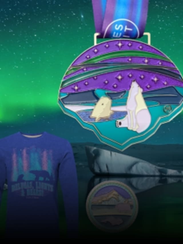 Belugas, Lights and Bears! Oh My! card image