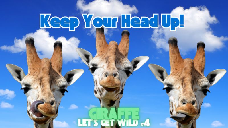 Keep Your Head Up - Giraffes: Let's Get Wild #4 | Race | Yes.Fit