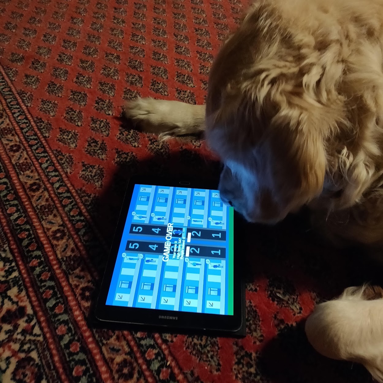 A humorous image of a dog playing Uplift game.
