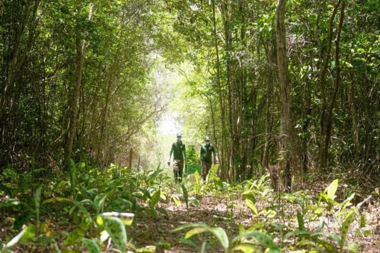 Inscrições gratuitas para curso de Restauração Ecológica da Caatinga
