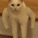 boomir's avatar