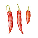 IPO Kitchen's avatar