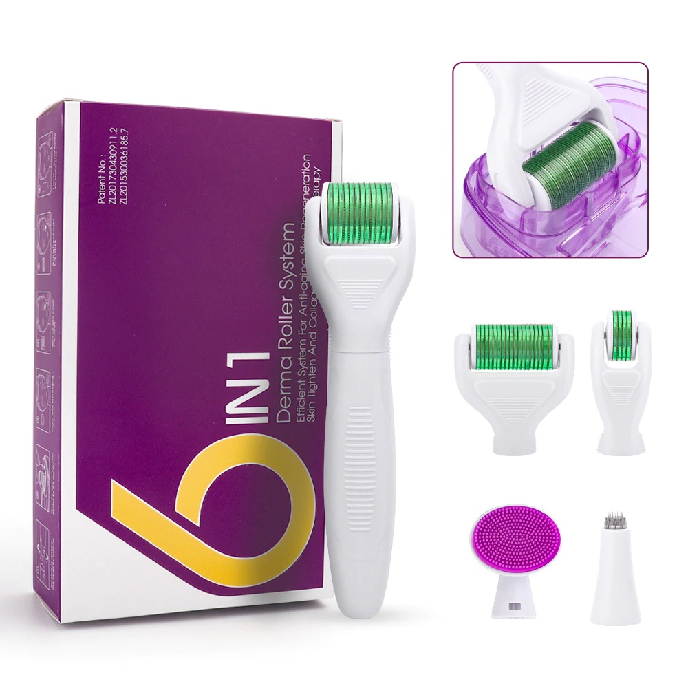 6 in 1 Derma Roller Needle Microdermabrasion Facial Rollor Microneedle