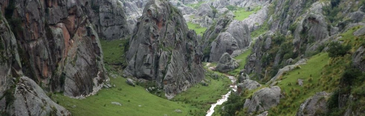 Valle de los Lisos