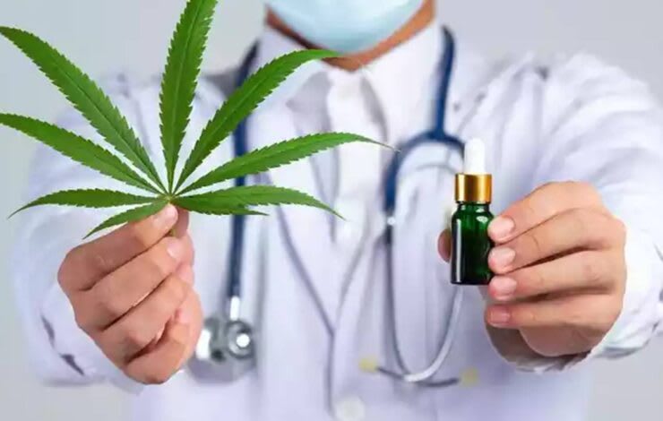 cannabis medicinal