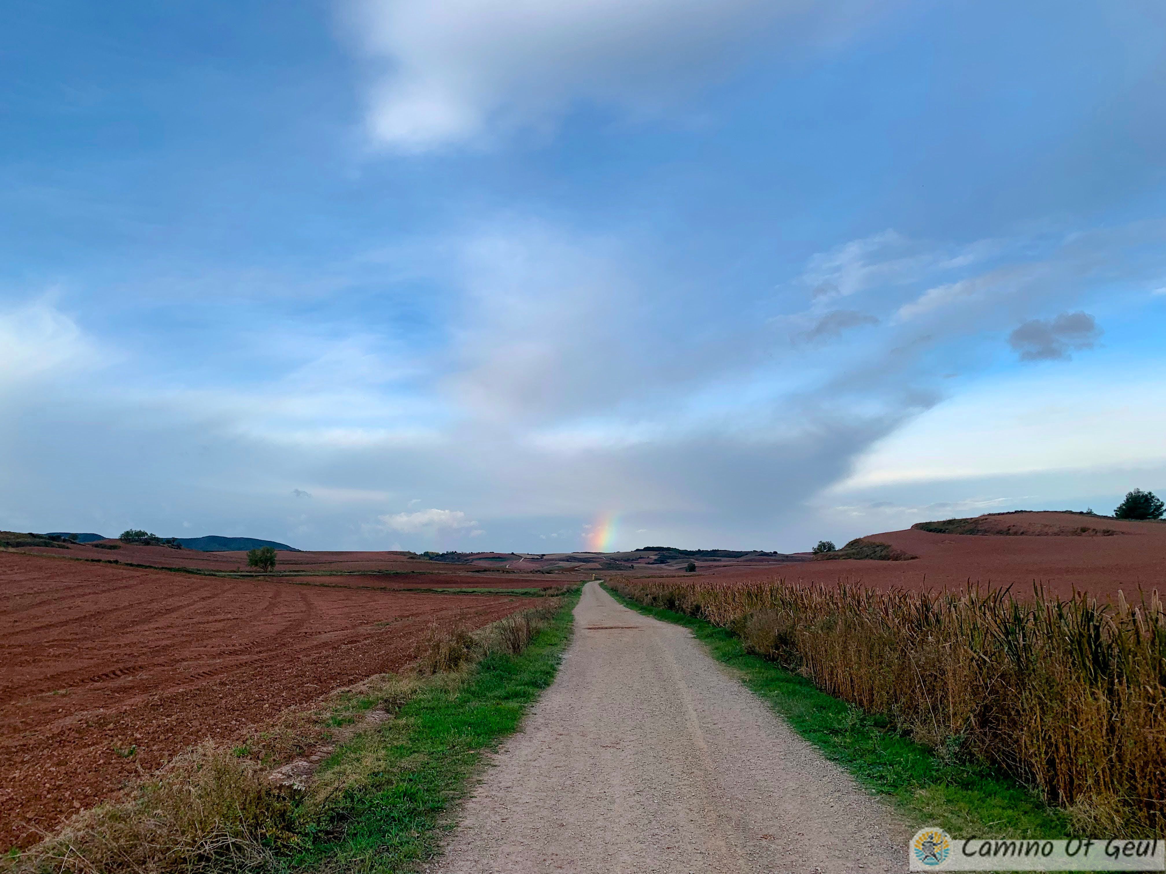 IMG_0277-EDIT.jpg