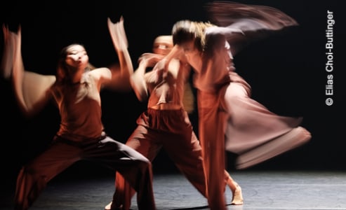 Institute of Dance Arts der Bruckner Uni RITUS - Fr., 05.02.2027, 19:30 at Posthof, Posthofstraße 43, 4020 Linz, Österreich