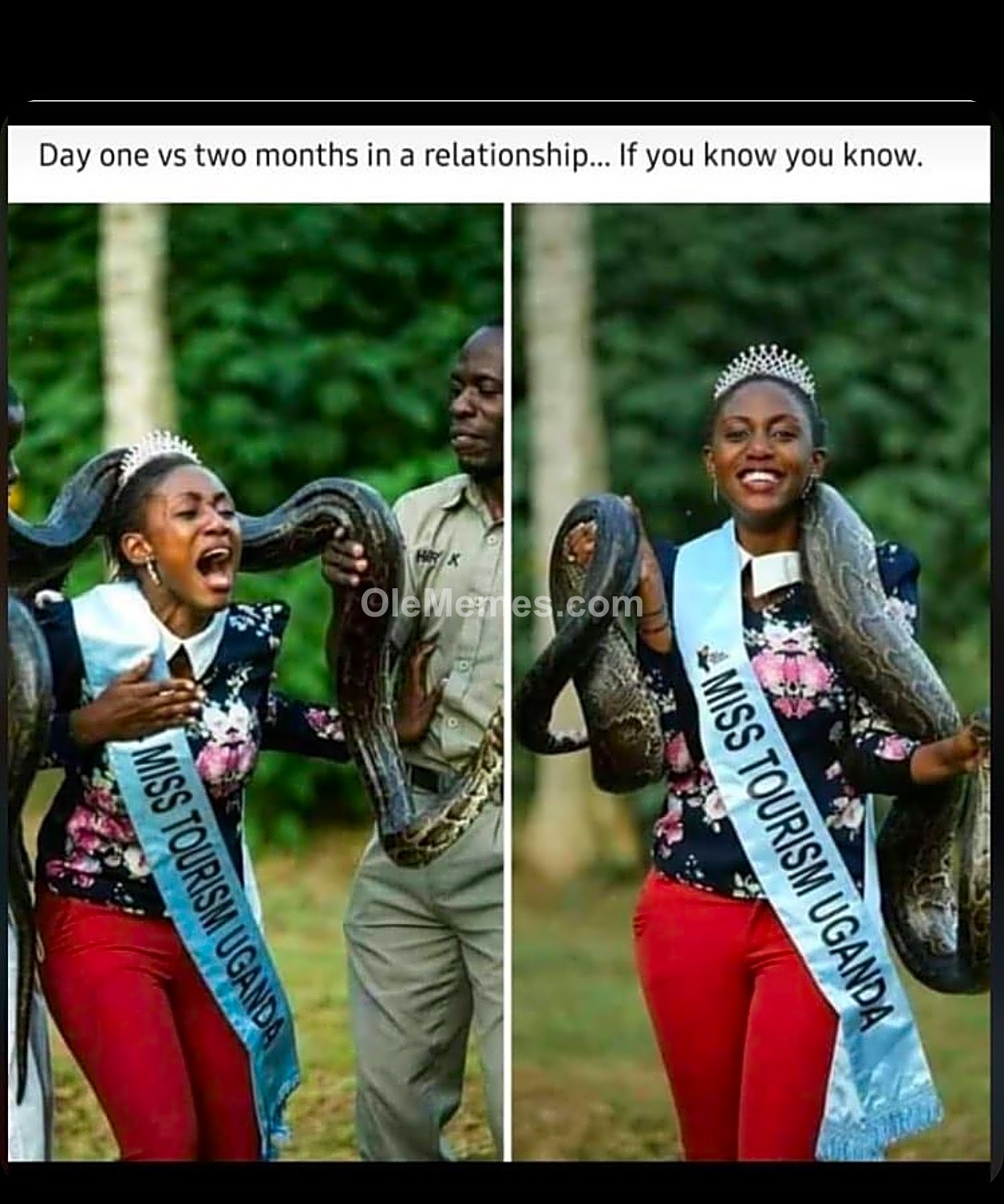 Meme