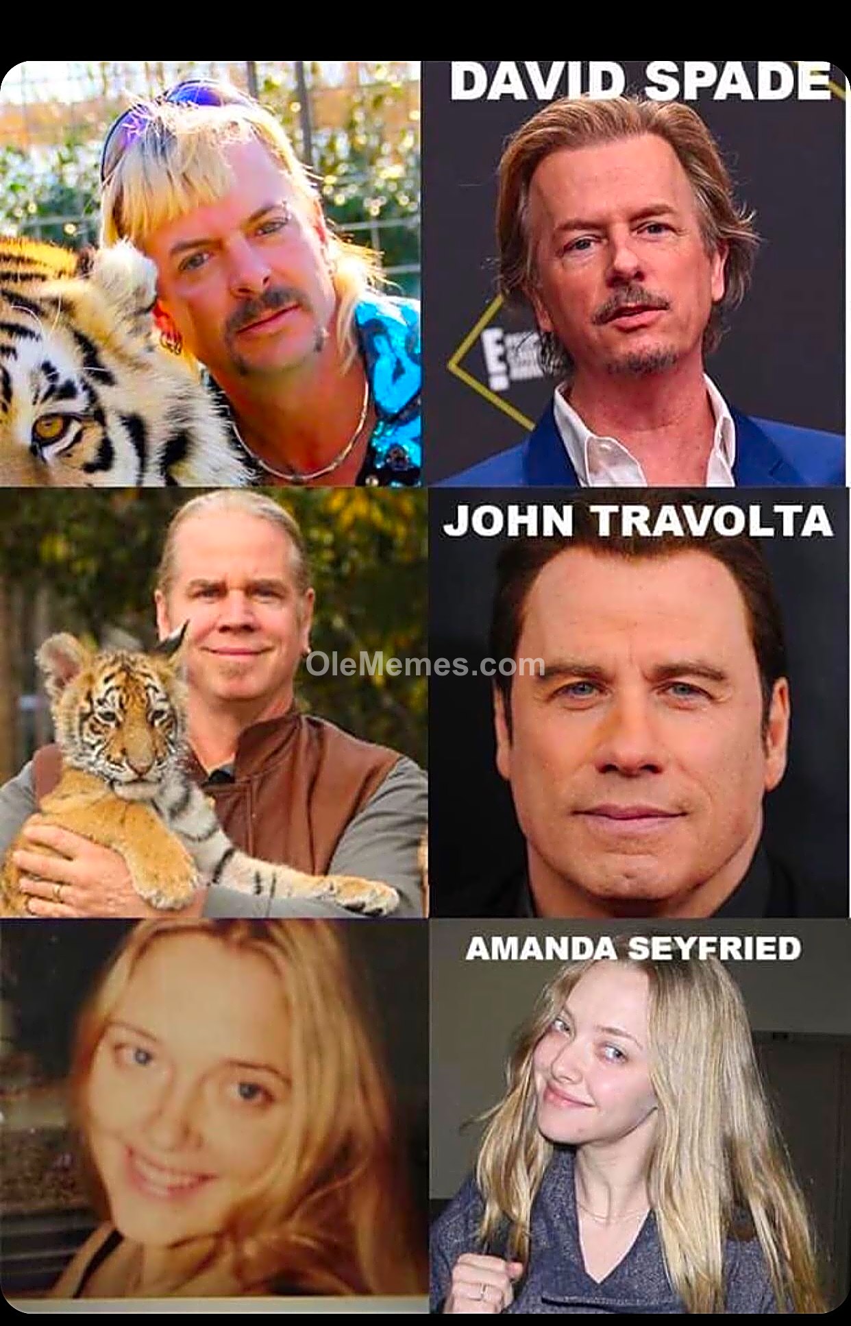 Meme