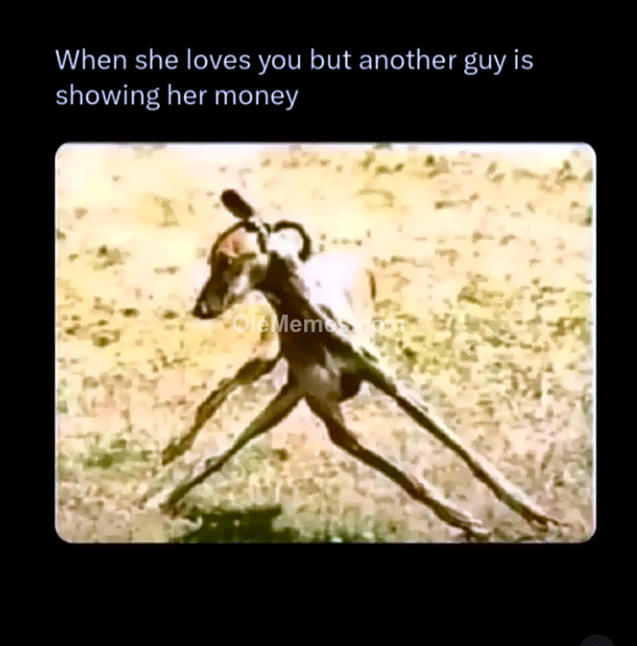 Meme
