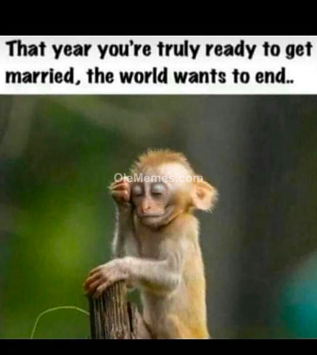 Meme