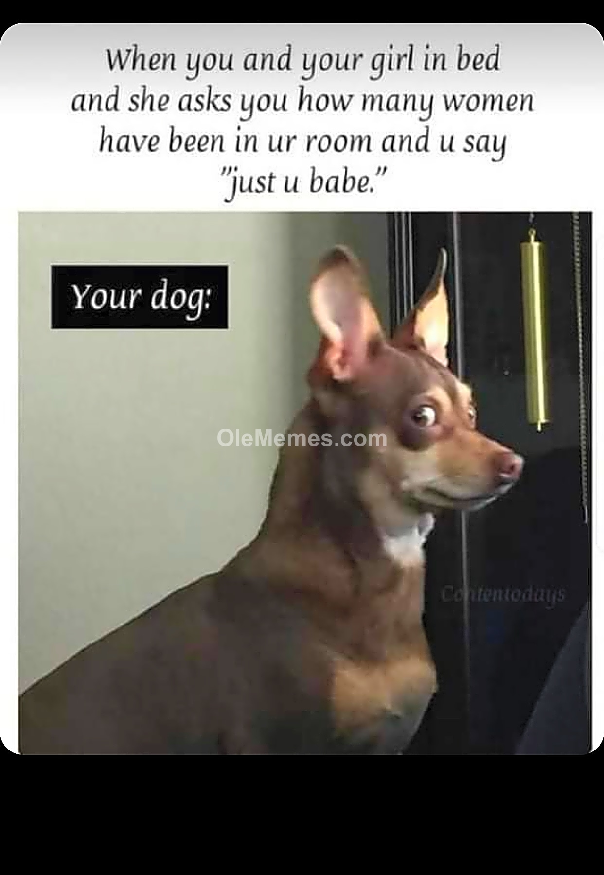 Meme