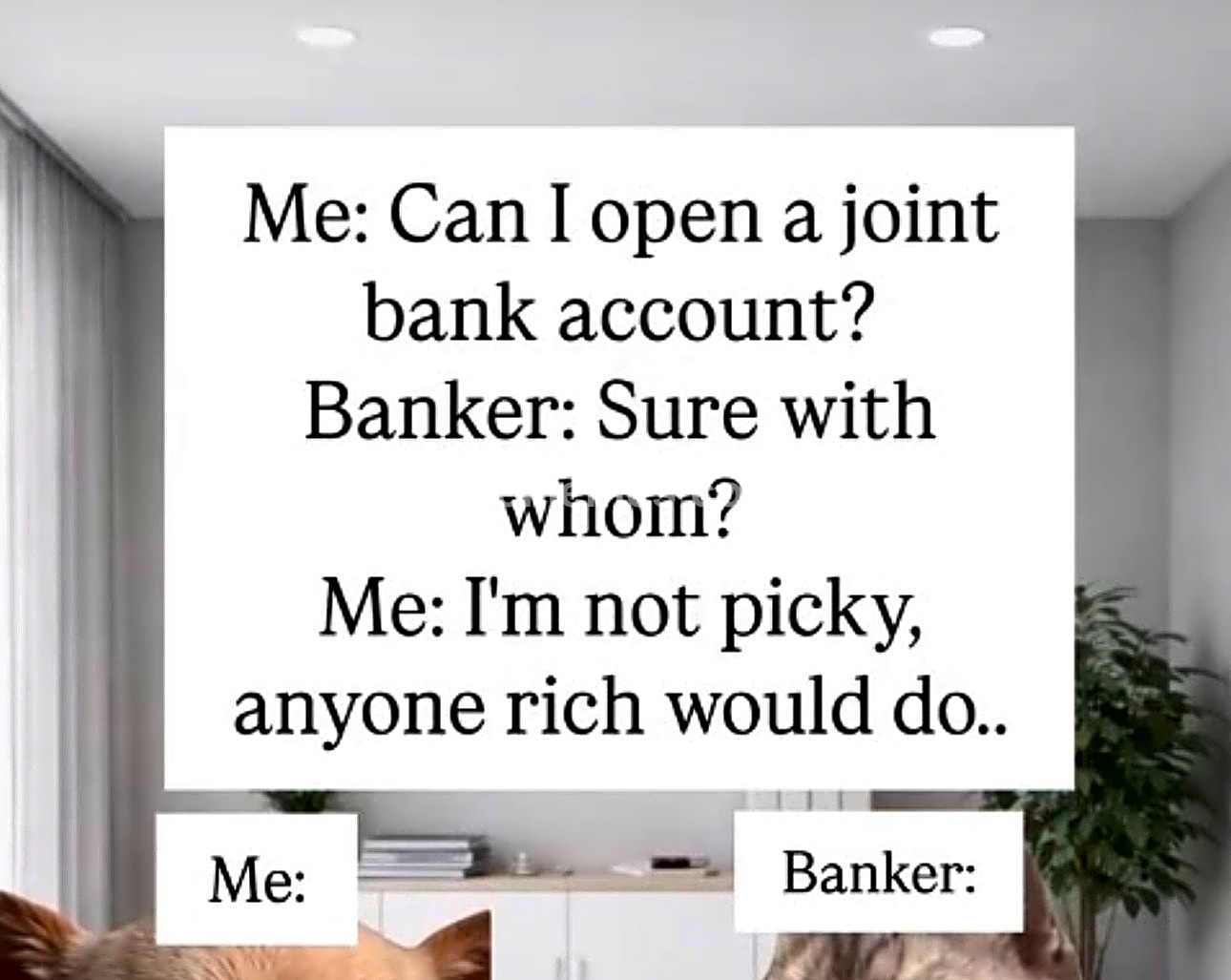 Meme