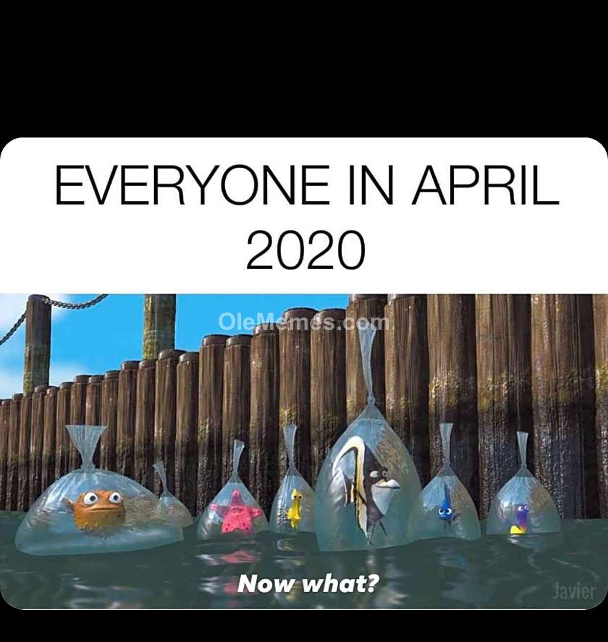 Meme