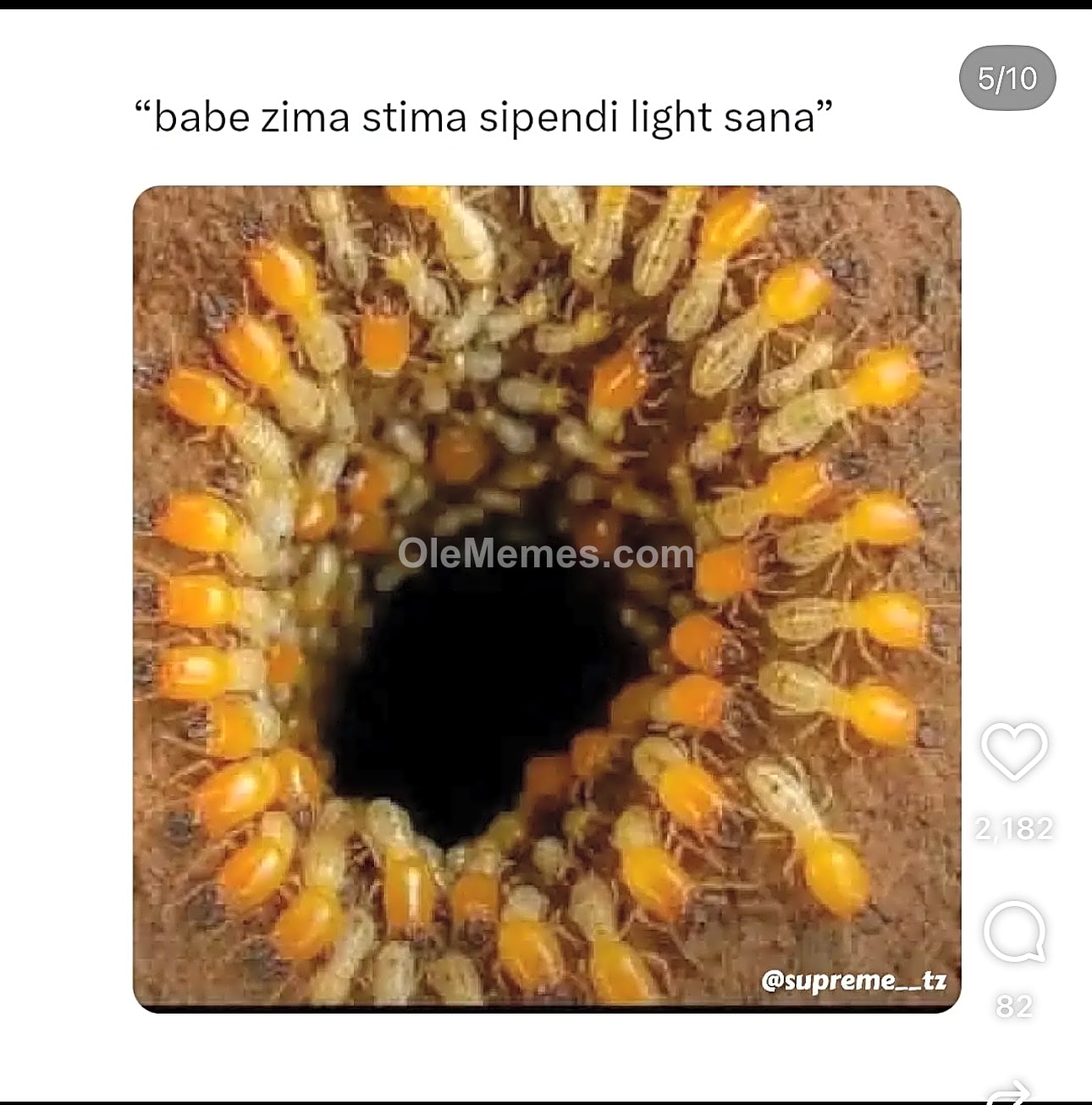 Meme