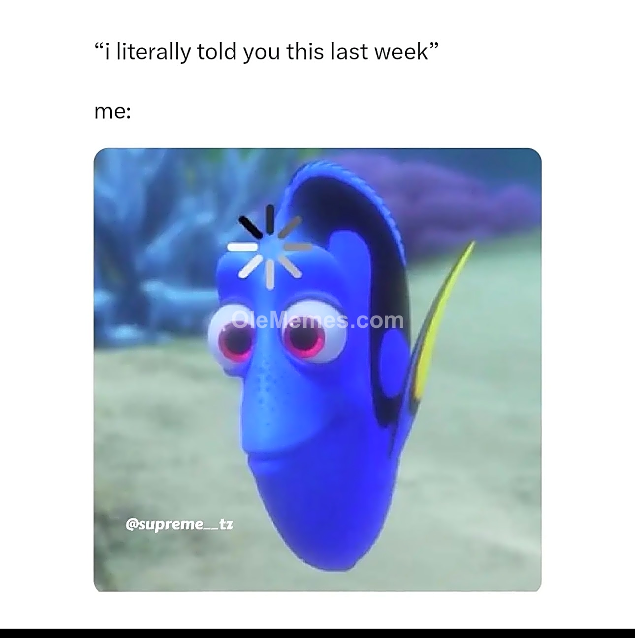 Meme