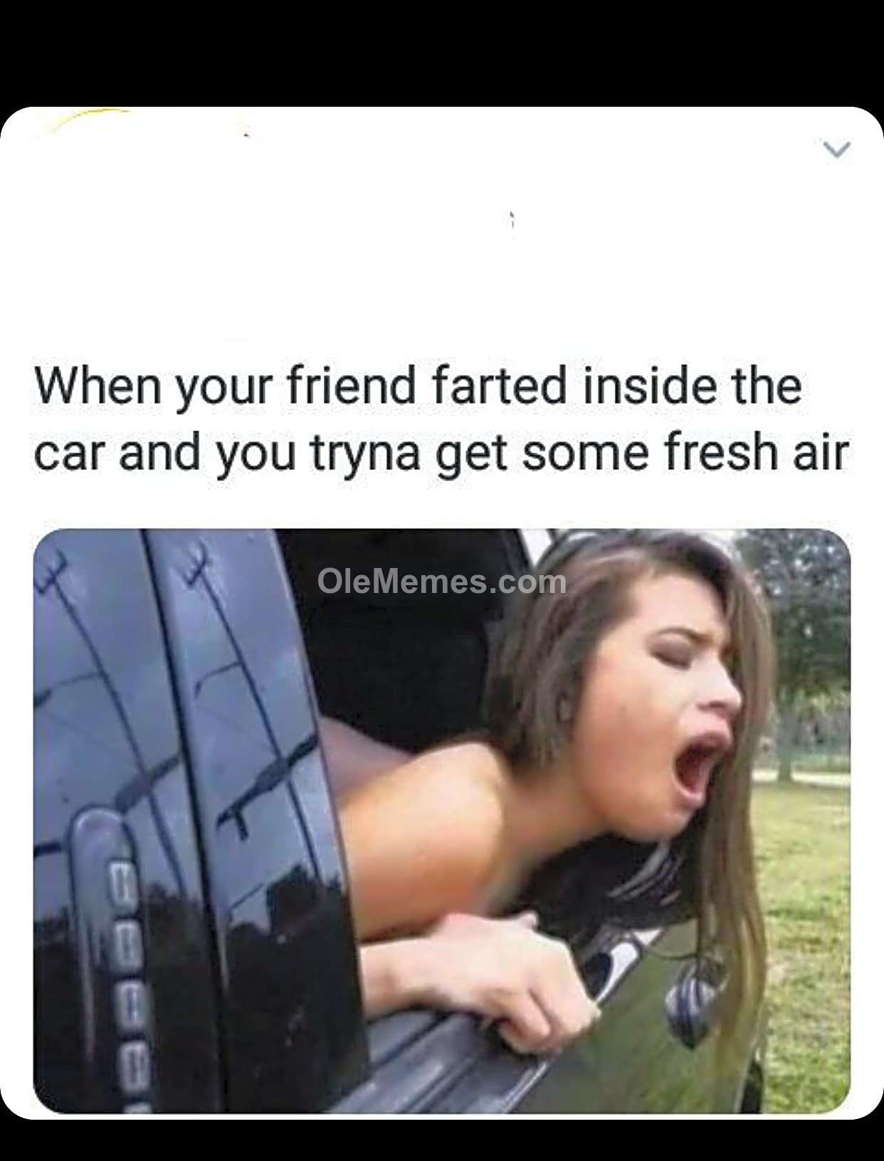 Meme