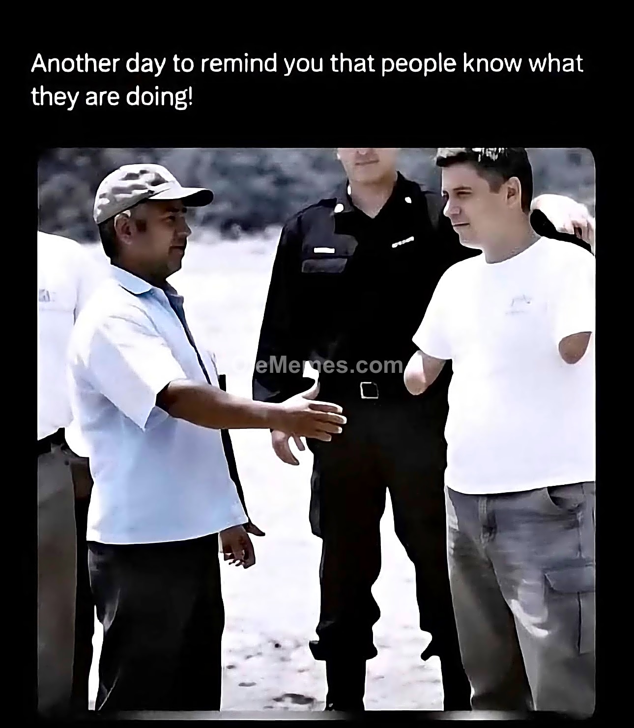 Meme