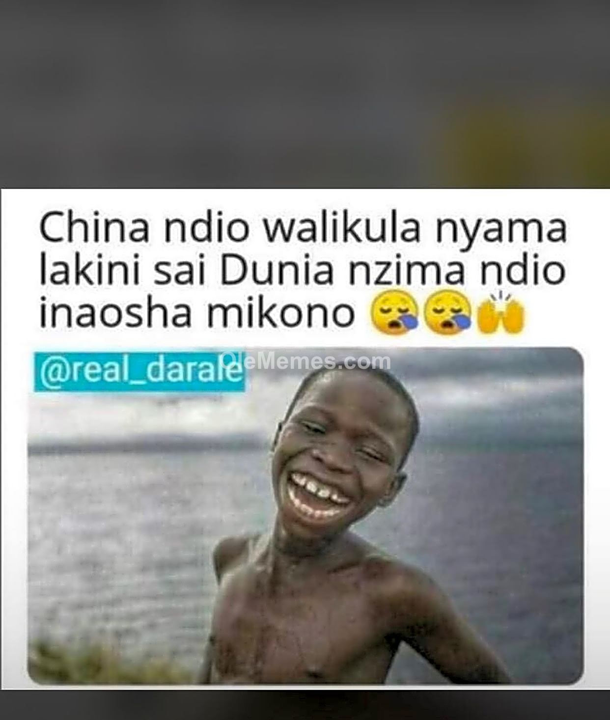 Meme