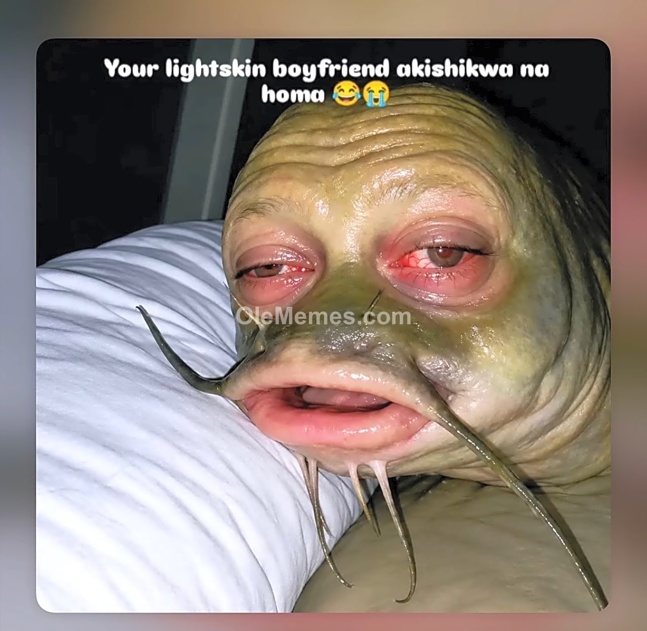 Meme
