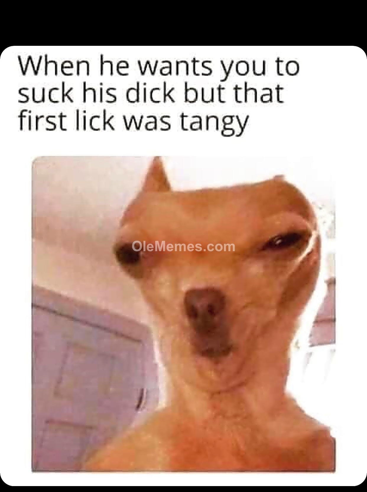 Meme