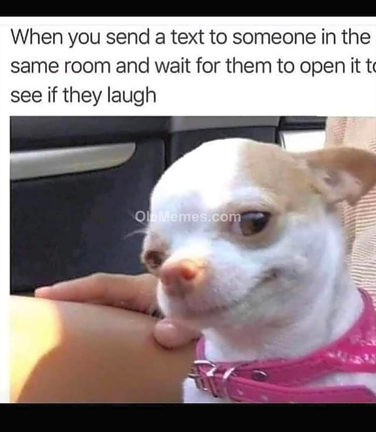 Meme