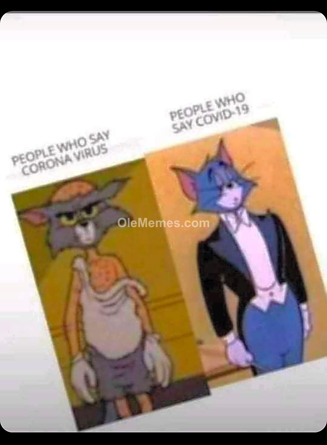 Meme