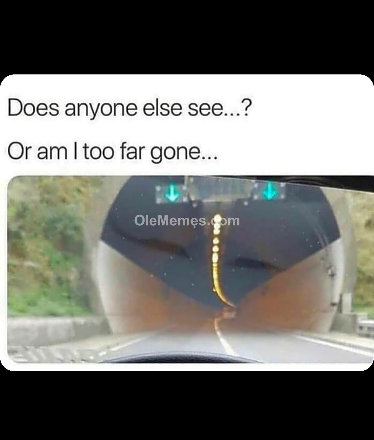 Meme