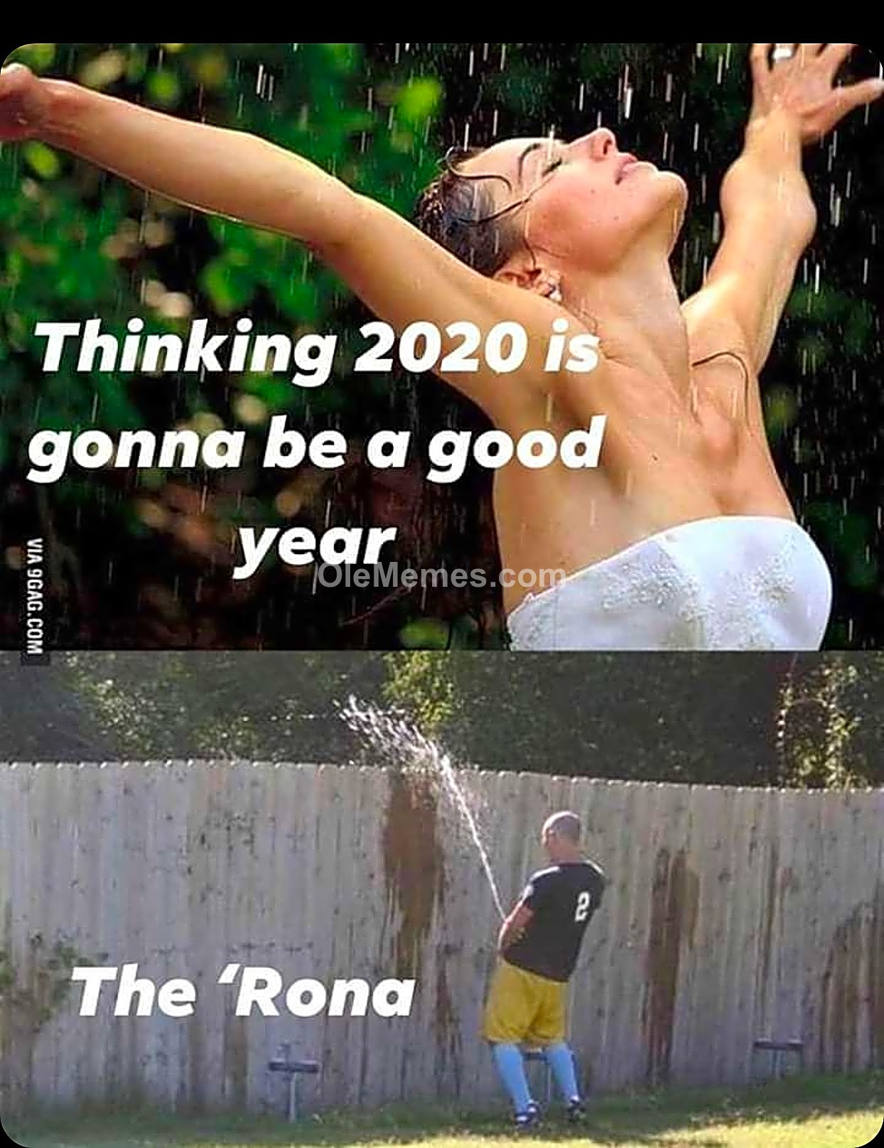 Meme