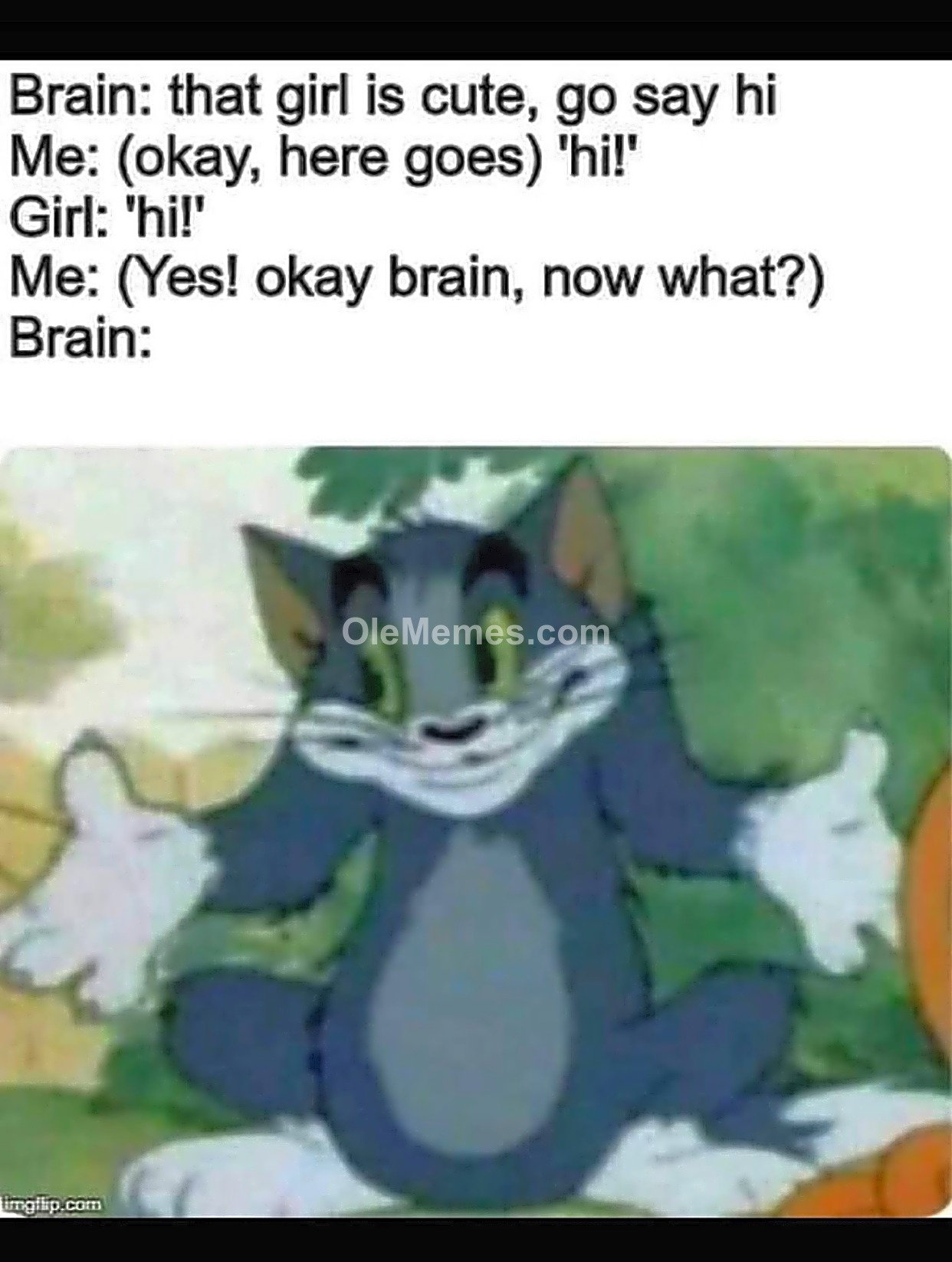 Meme