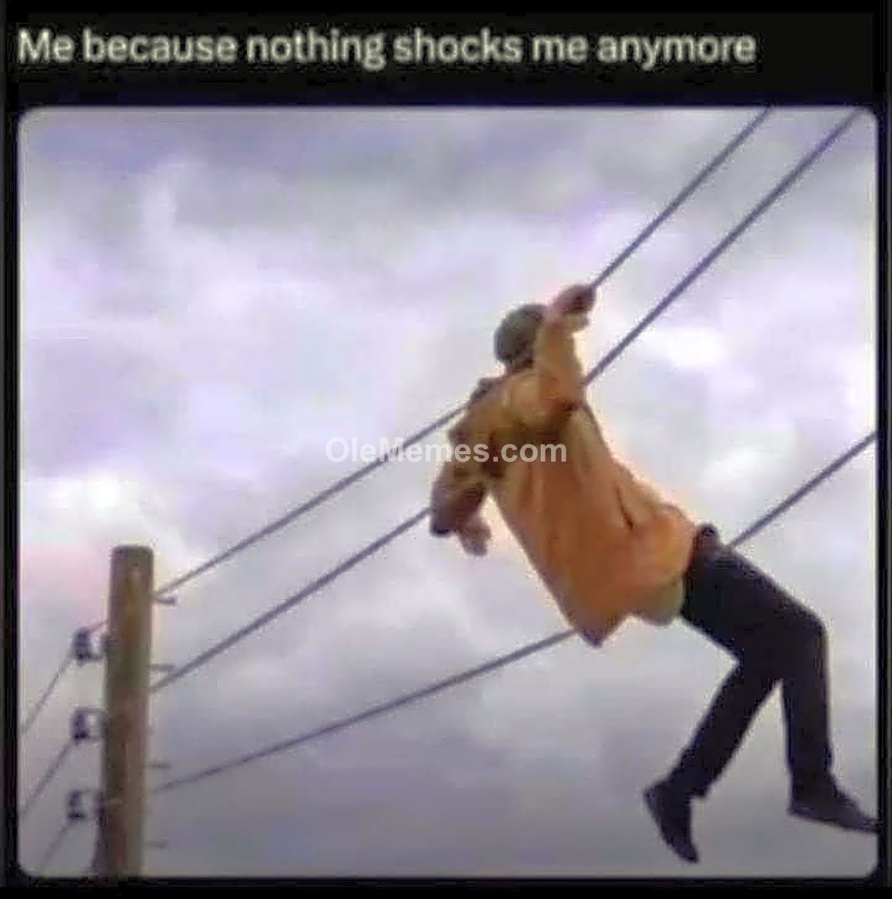 Meme