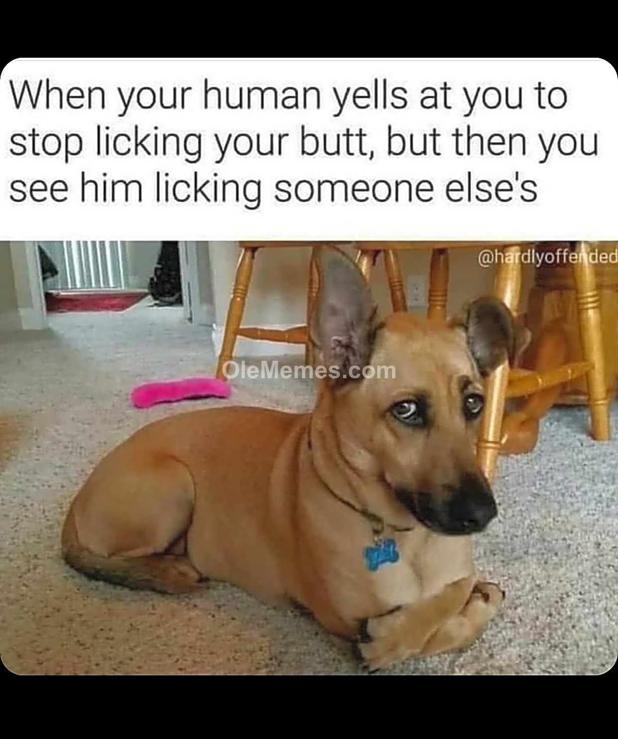 Meme