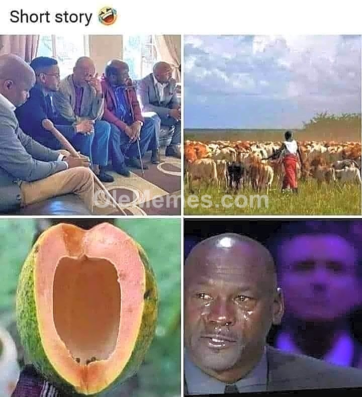 Meme
