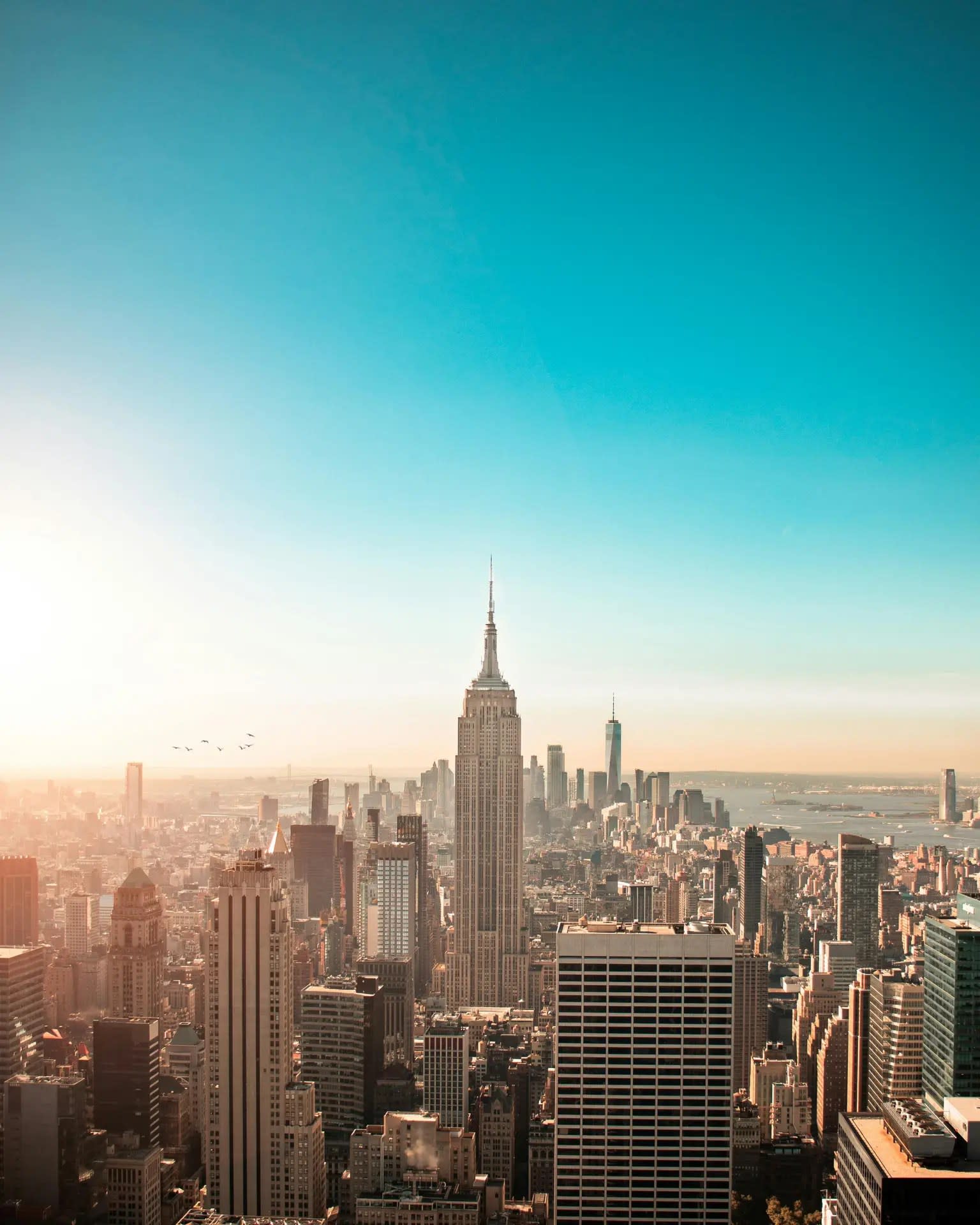 Empire State Strikes Back: NY AG Halts 26 Online Sweepstakes Casinos