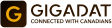 Gigadat logo