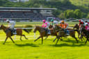 Churchill Downs Asks the FTC to Investigate Horse Racing's Own Regulator