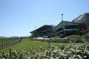 Ireland's Bookmakers File 163 Notices for In-Person Licences Six Weeks Before the 1 December Switch