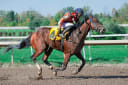 UK Horseracing Fights 'Catastrophic' Gambling Tax Harmonisation Proposal