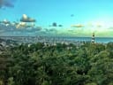 MGM Resorts to Concentrate Digital Investment in Brazil After Encouraging Q2