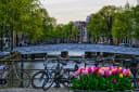 Dutch Councillor Calls for Online Gambling Age to Be Raised to 24