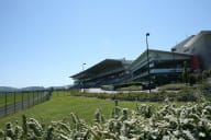 Ireland's Bookmakers File 163 Notices for In-Person Licences Six Weeks Before the 1 December Switch