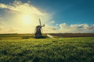 Lowlands Lockout: New Dutch Government Declares Total War on Betting