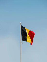 Unlicensed Gambling Threatens Belgium's Market, BAGO Says